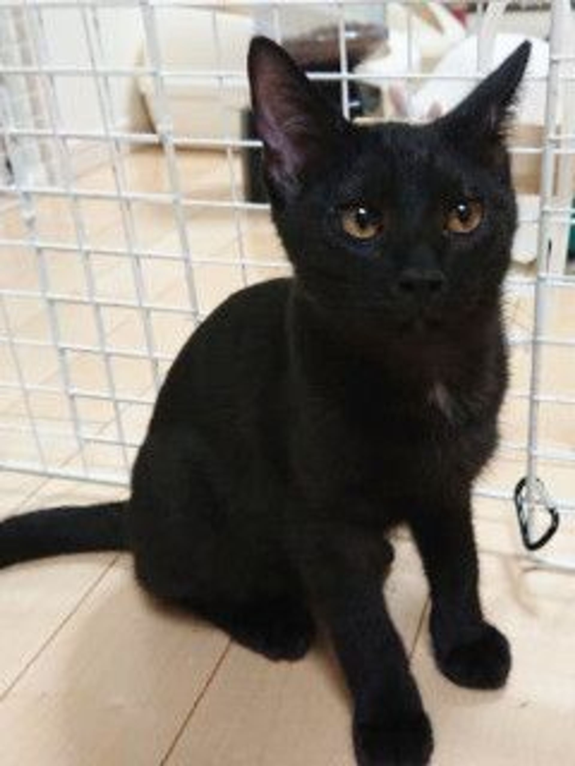 thumbnail-2