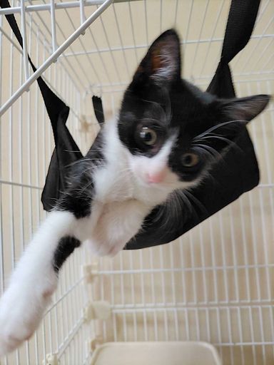 エドくんの写真