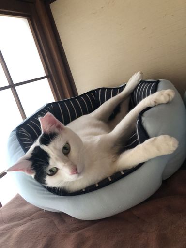 かっちゃんの写真