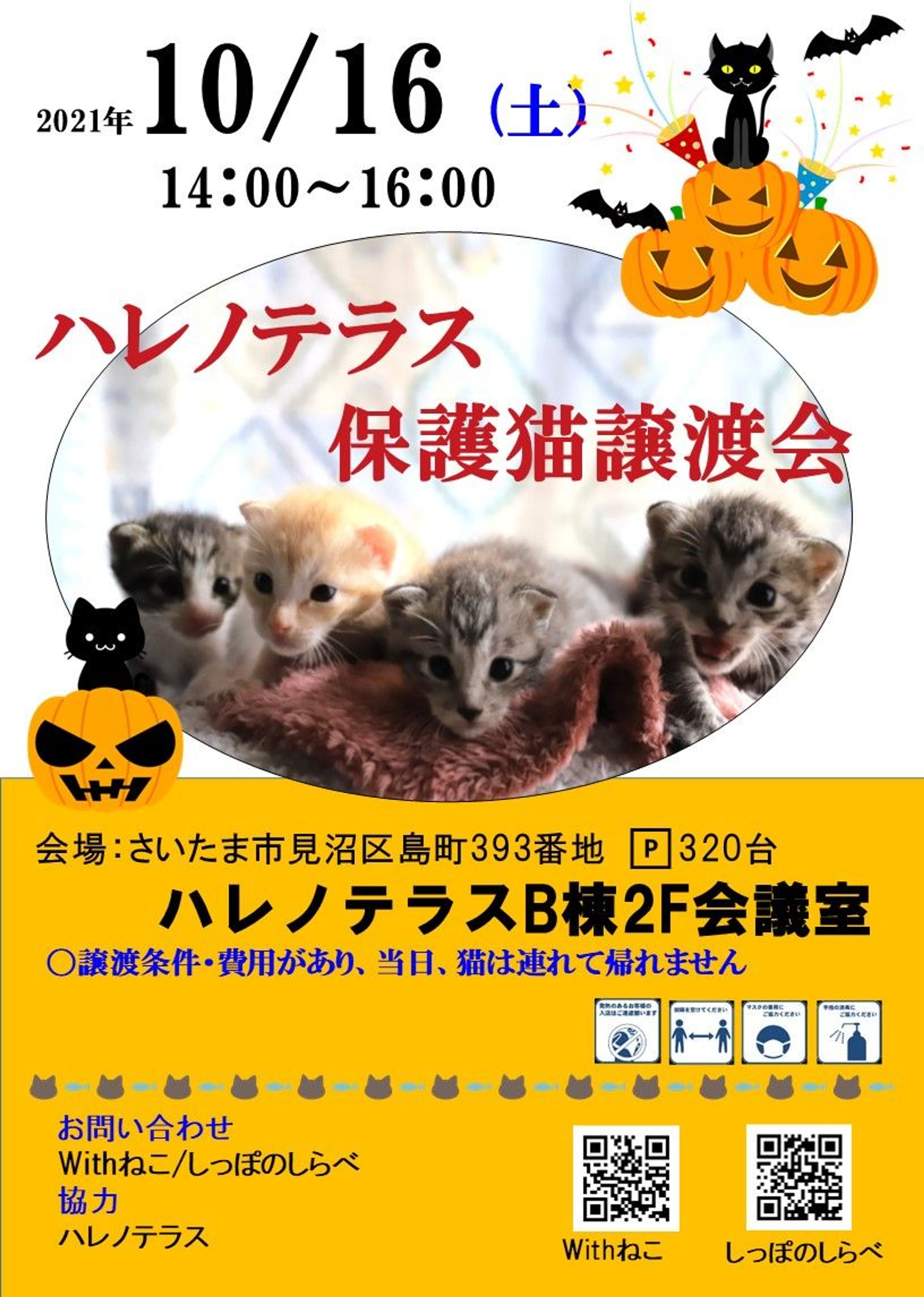 pet-image-7