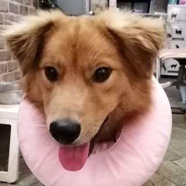 つとむの写真