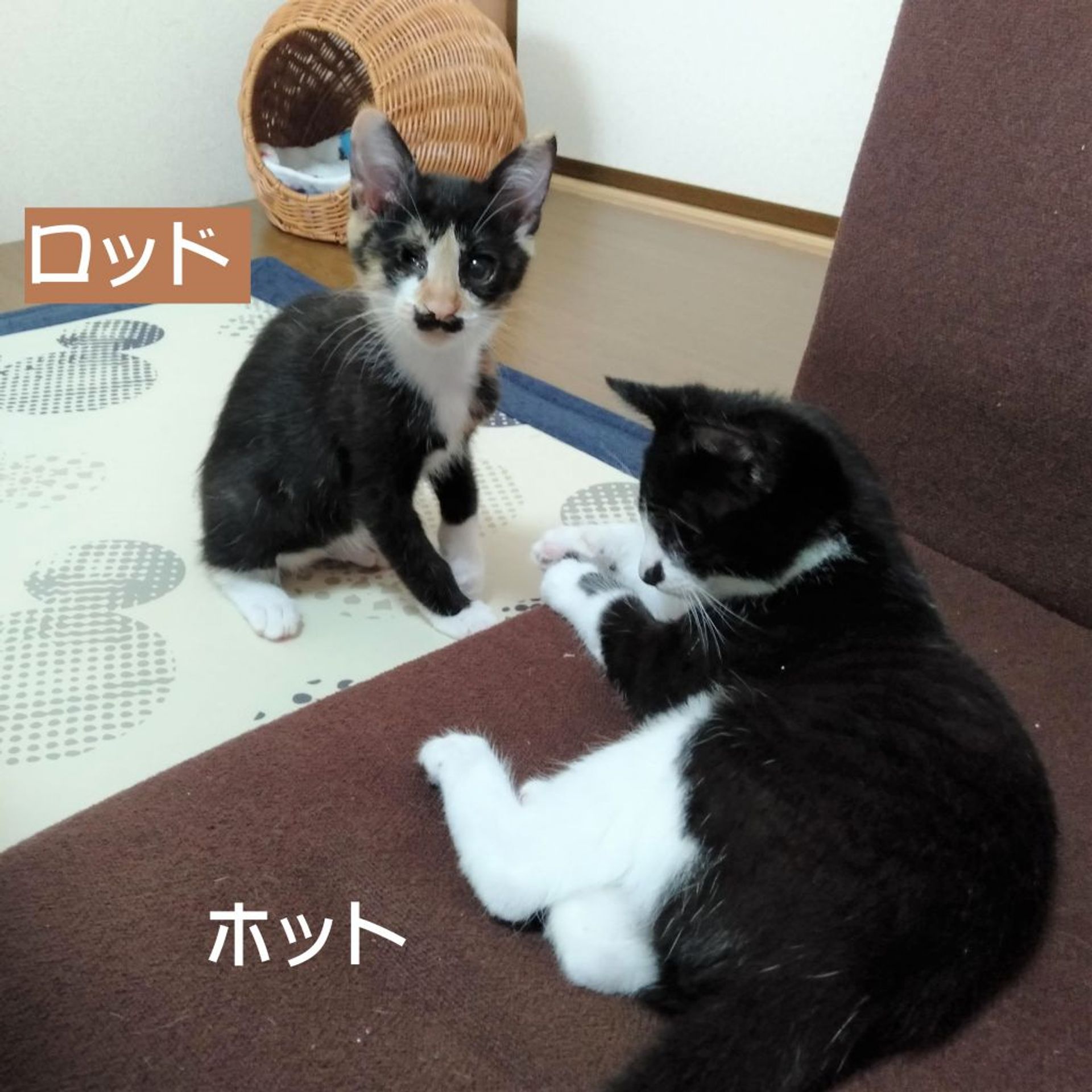 thumbnail-9