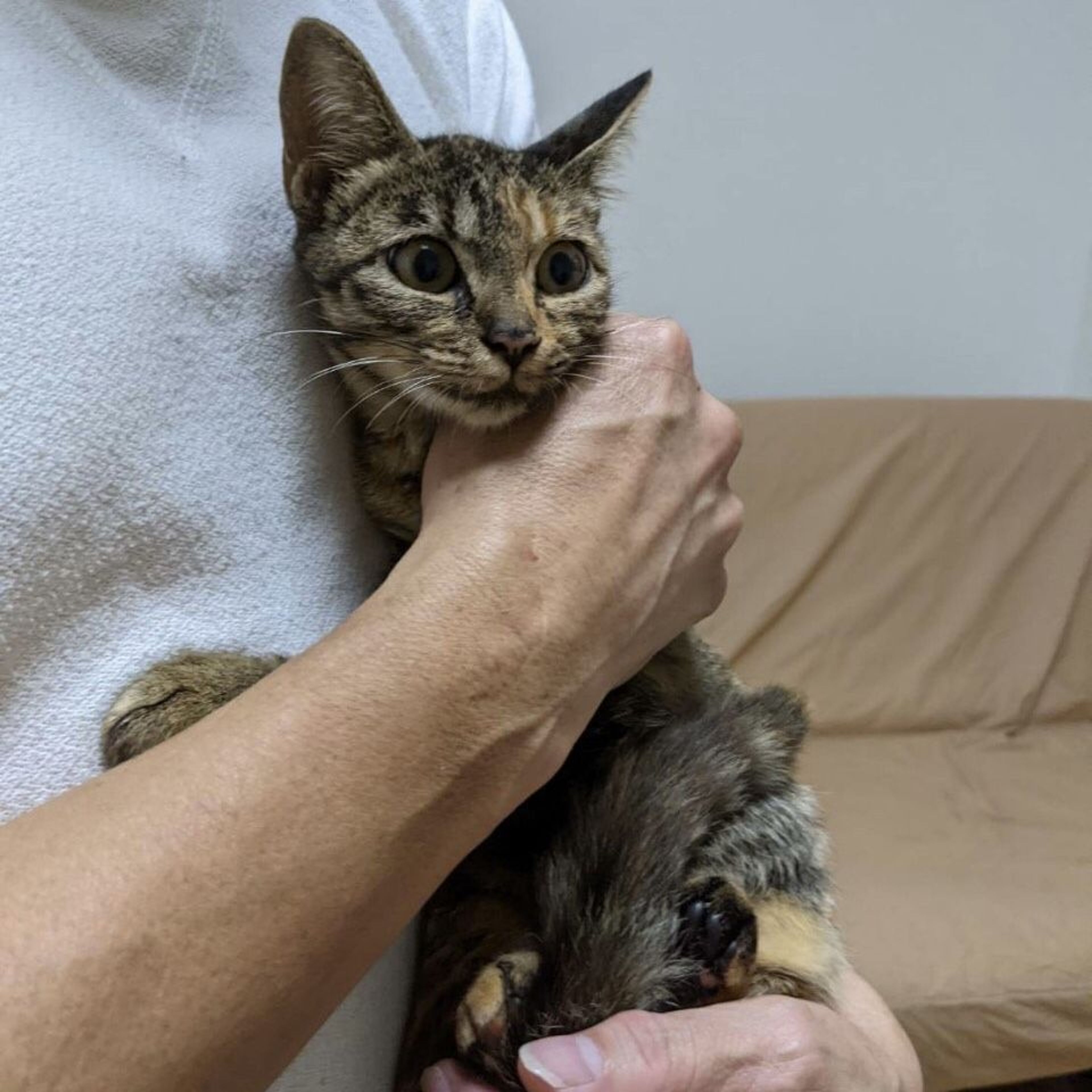 pet-image-9