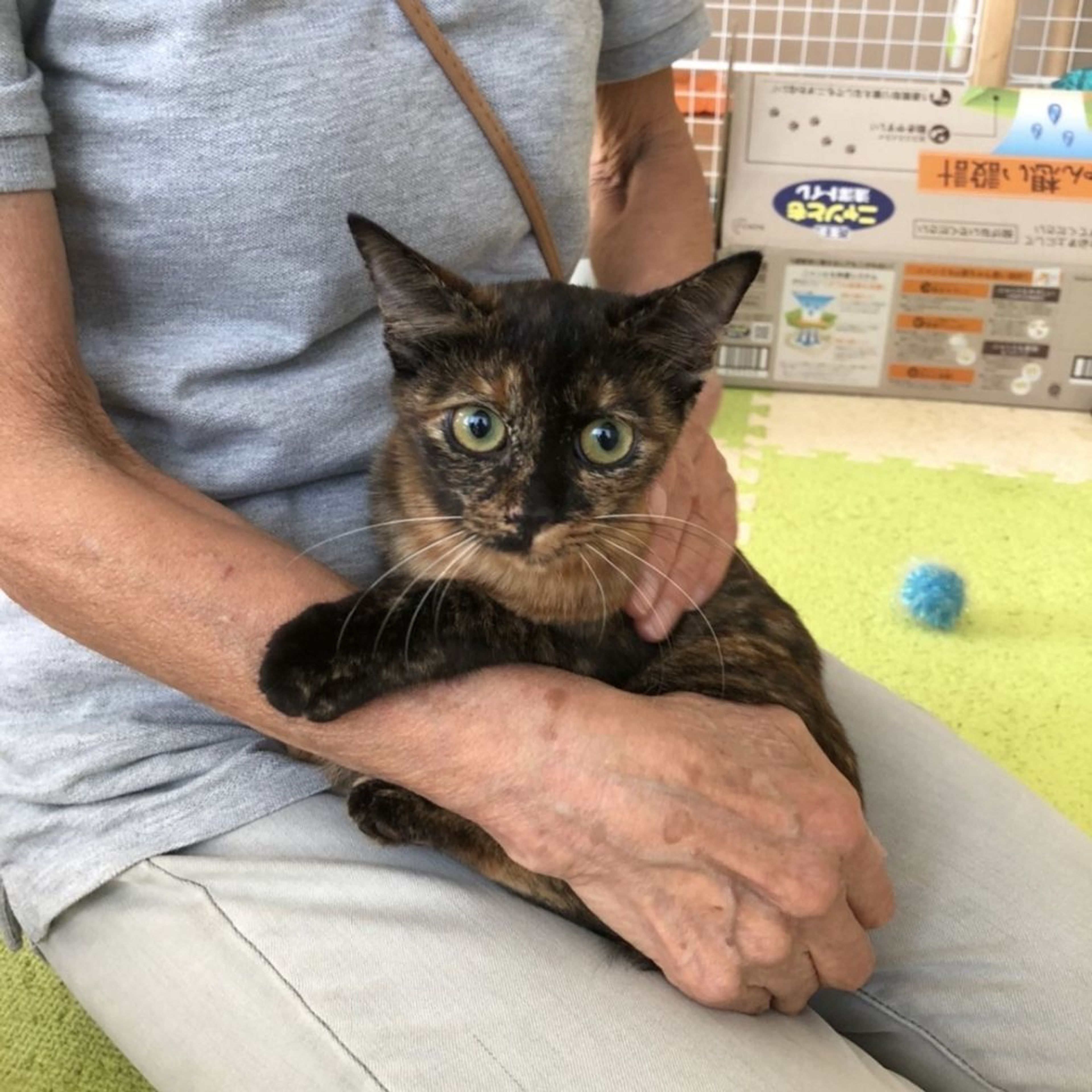 pet-image-5
