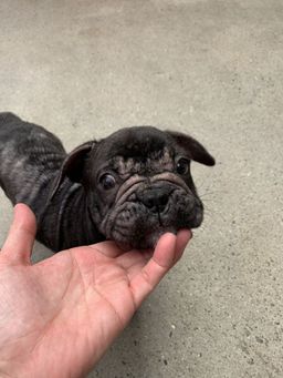 thumb-0