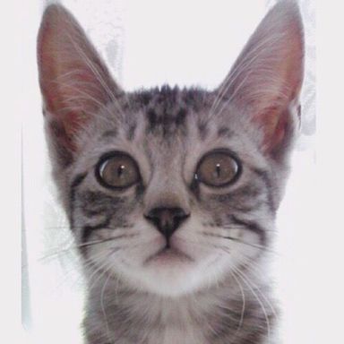 名無しちゃんの写真
