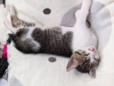 たつきくんの写真