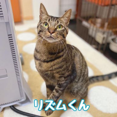 リズムの写真