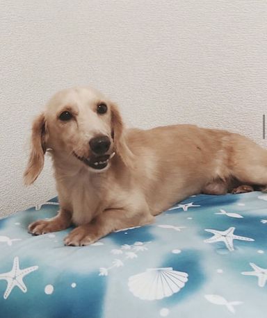 オータムの写真