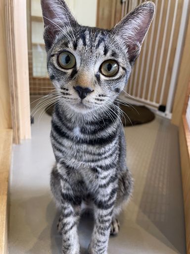 いっちの写真