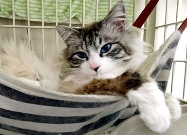 名無しちゃんの写真