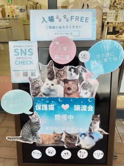 宮城県柴田町ゆるぷら「星空ねこ☆写真でお見合い会」 ～ねこはお留守番だよ～