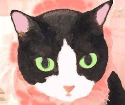 ★ゆめネコ譲渡会★ 東京都登録譲渡団体 日本橋三越 歩5分