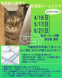 保護猫ルームえびす　譲渡会