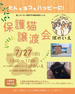 【さいたま市西区】ねこの病院と保護ねこルーム　ぽのいえ保護猫譲渡会