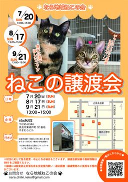 猫の譲渡会