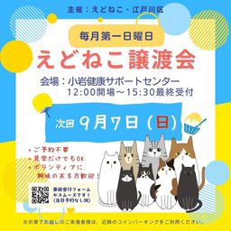えどねこ譲渡会 江戸川区保健所（小岩健康サポートセンター）