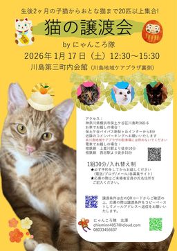 猫の譲渡会　by にゃんころ隊　1/17
