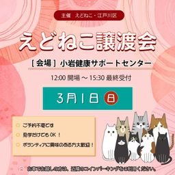 えどねこ譲渡会 江戸川区保健所（小岩健康サポートセンター）