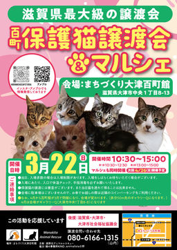 百町保護猫譲渡会＆マルシェ