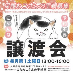 ★「猫」にゃんQ 譲渡会（第１土曜日）