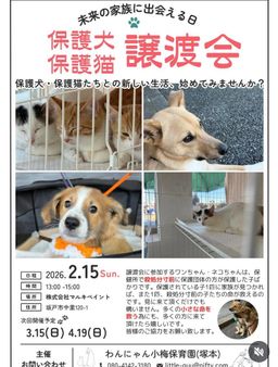 保護犬保護猫譲渡会★マルキペイント