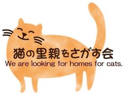 猫の里親をさがす会