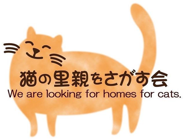 猫の里親をさがす会