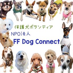 Group Logo