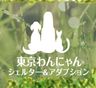 東京わんにゃんシェルター&アダプション