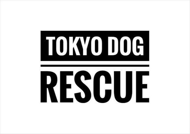 東京ドッグレスキュー
