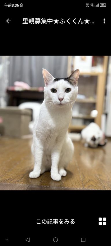 ふくくん