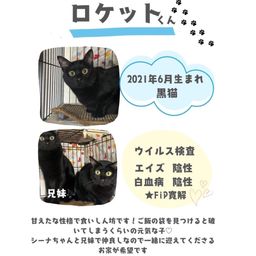 thumb-5
