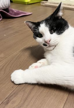 thumb-2