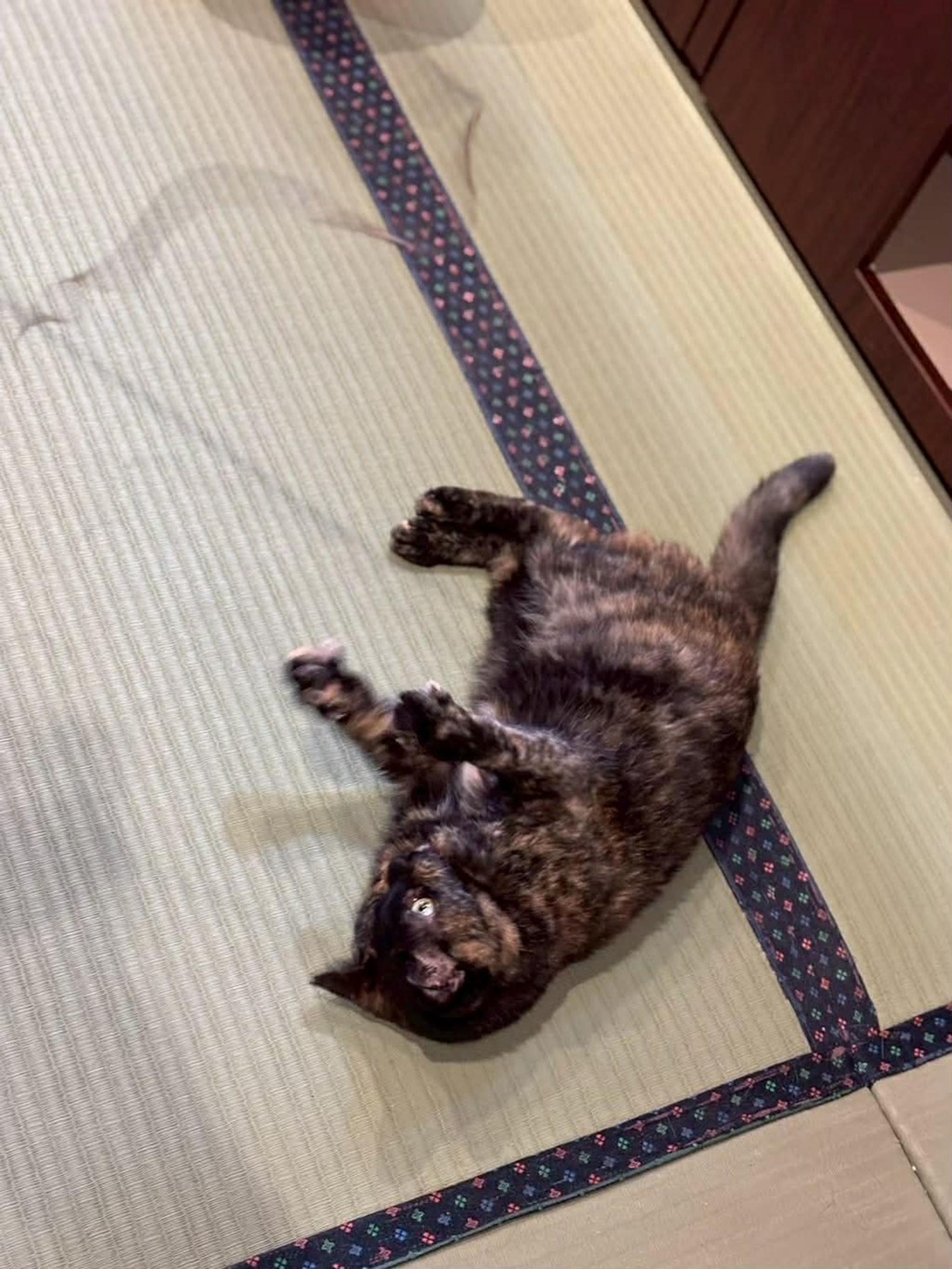 image-4