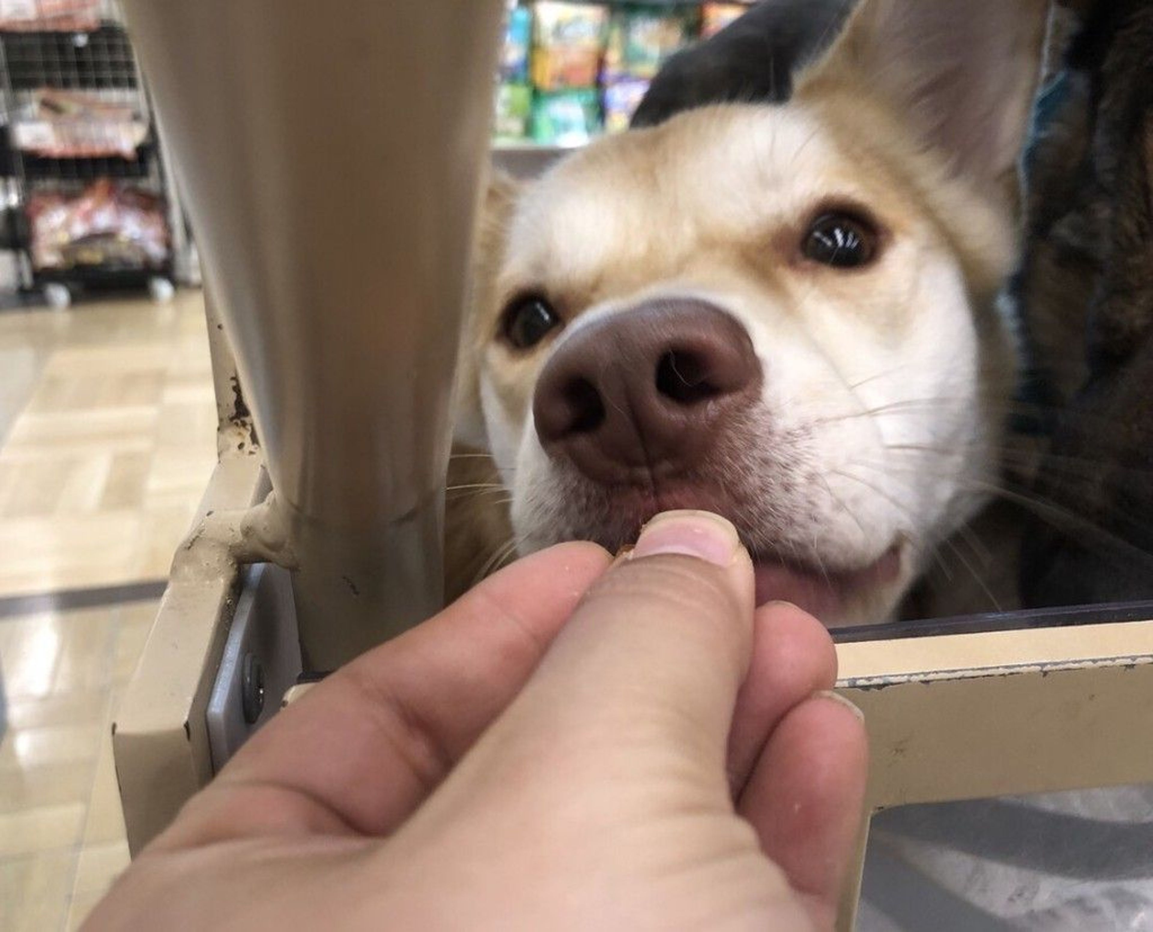 thumbnail-4