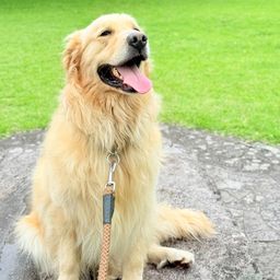 Τ���罸�Υ�����ǥ��ȥ�С����ޡ���������