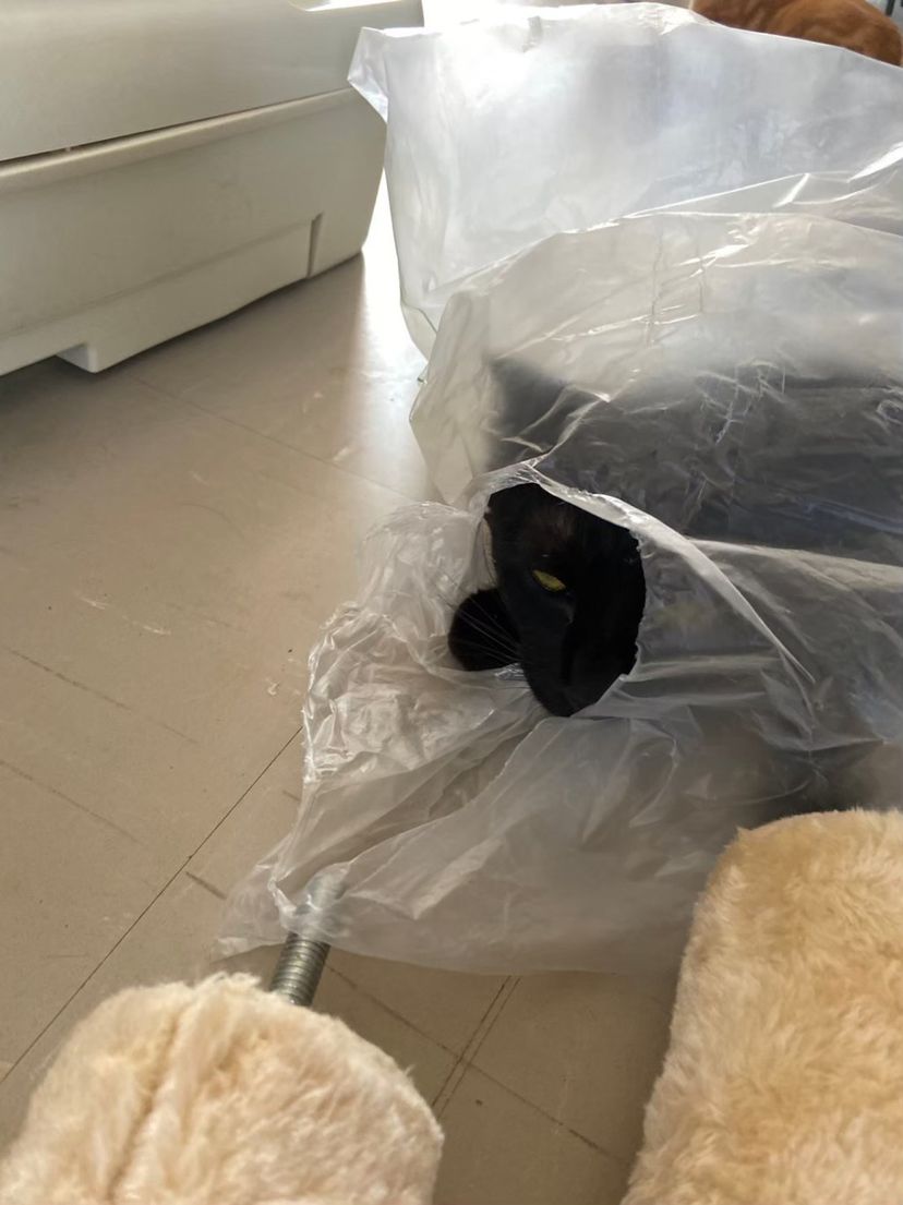 image-8