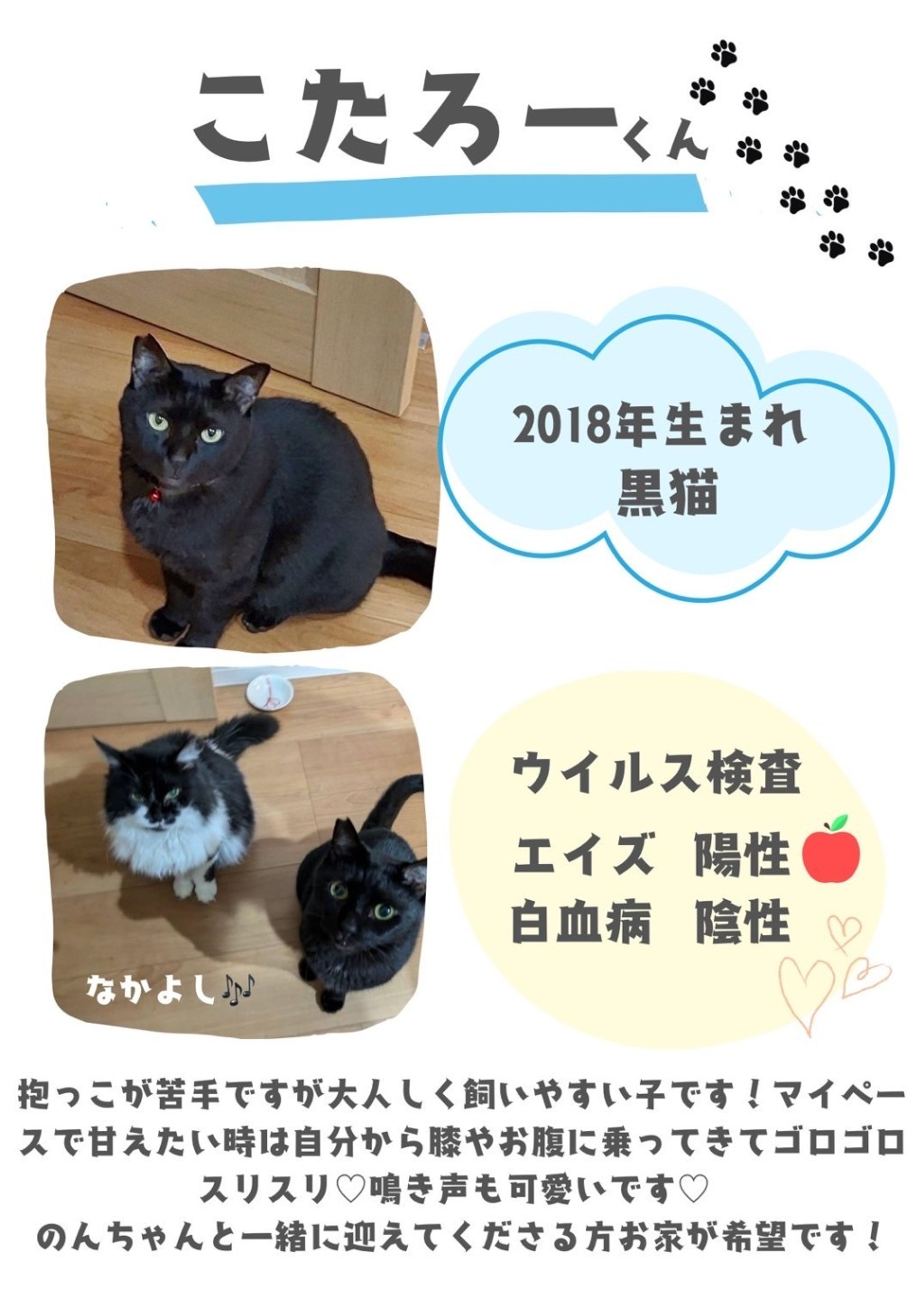 image-3