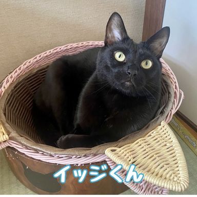 イッジ