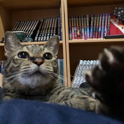 thumb-2