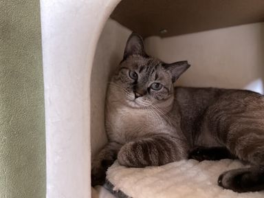 こりん♡ここあ