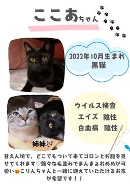thumb-5