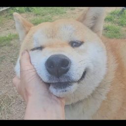 thumb-1