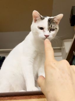 thumb-5