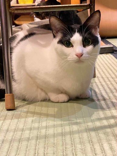 さき