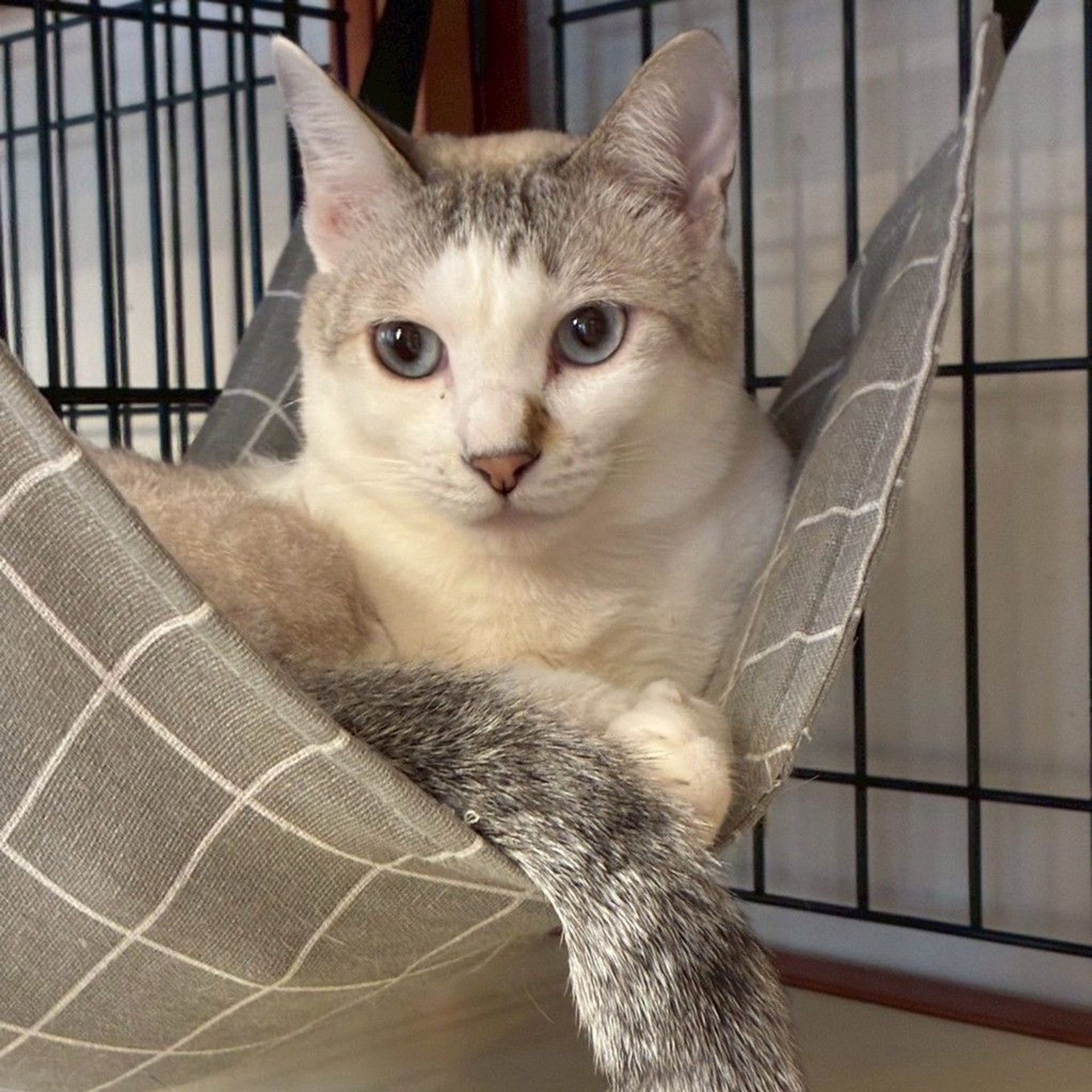 thumbnail-8