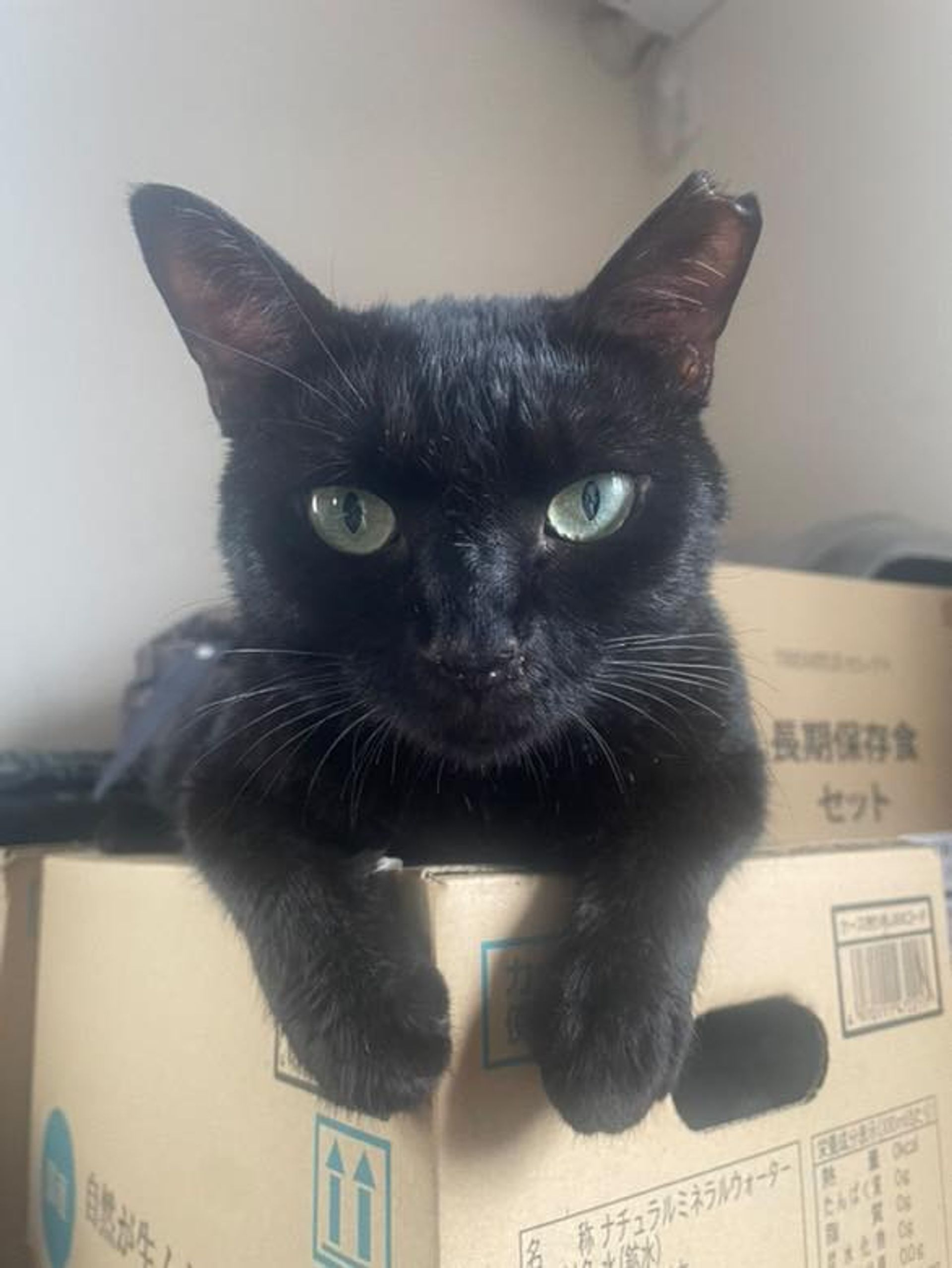 thumbnail-3