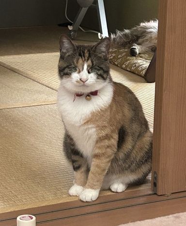 らぶ