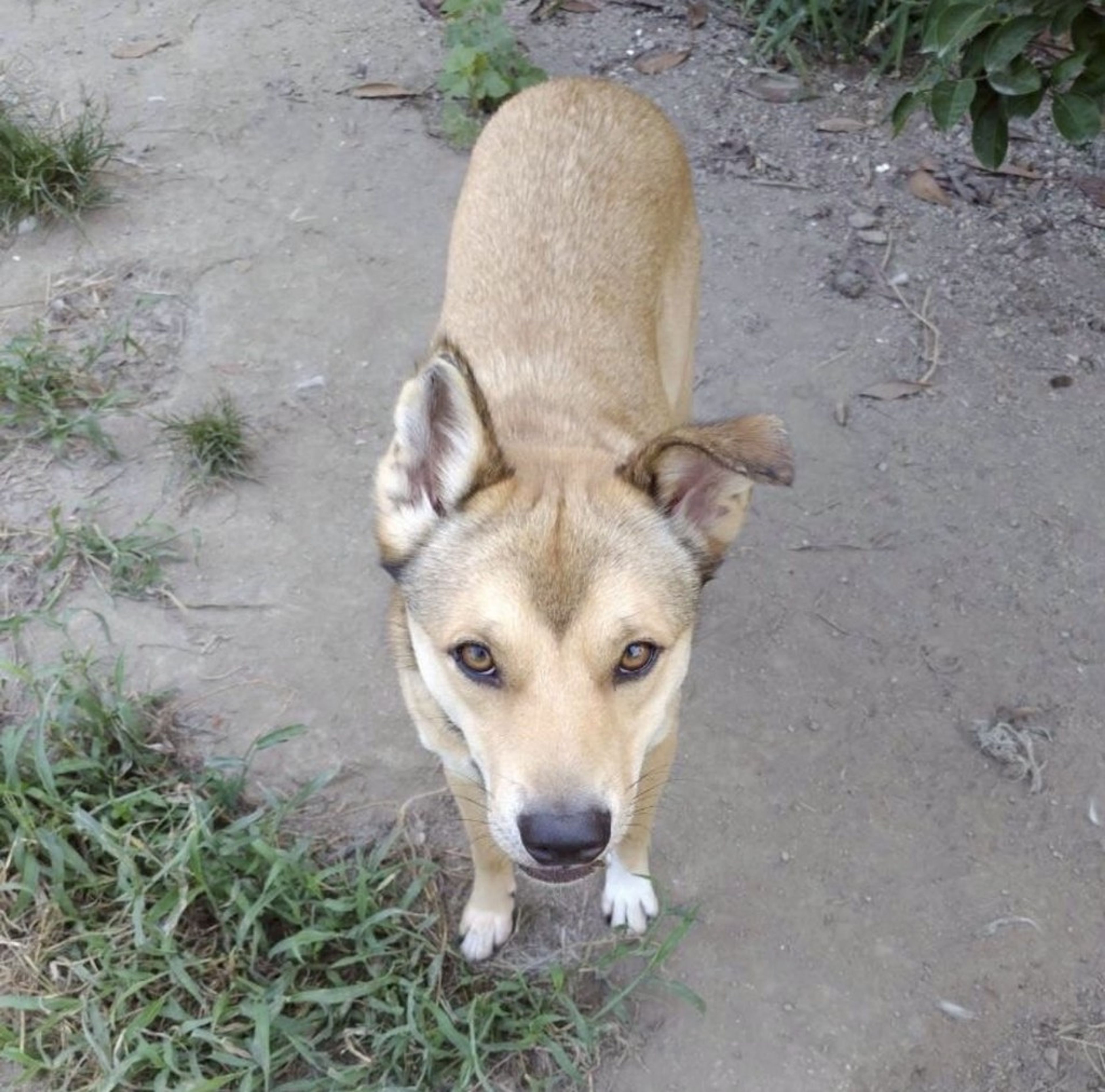 image-8